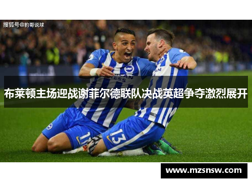 布莱顿主场迎战谢菲尔德联队决战英超争夺激烈展开