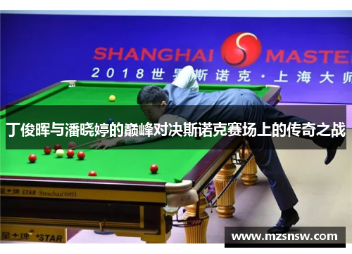 丁俊晖与潘晓婷的巅峰对决斯诺克赛场上的传奇之战