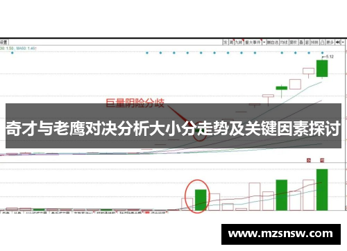 奇才与老鹰对决分析大小分走势及关键因素探讨