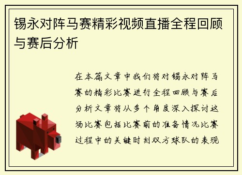 锡永对阵马赛精彩视频直播全程回顾与赛后分析